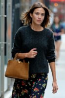alexa-chung-sweater.jpg
