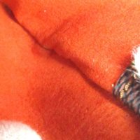 S2101214576560_10.jpg