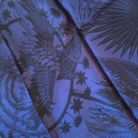 466E3472-9BC9-4EBB-AE18-99962AB725AC.jpeg
