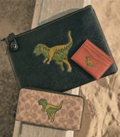 COACH_20190307_03-710x811.jpg