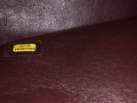 IMG_2375.jpeg