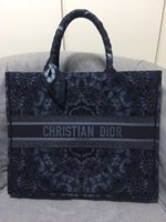 Unveiling My New Dior Oblique Embroidered Canvas Bag - PurseBlog