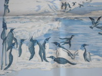 PF April Penguins.JPG