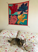 Iris wall 2.jpg