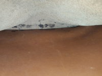 20190413_064839.jpg