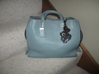 Steel blue Rogue 001.JPG