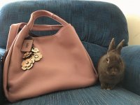 Easter2019_004.jpg