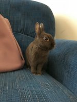 Easter2019_006.jpg