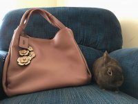 Easter2019_007.jpg