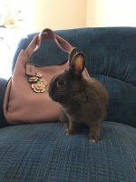 Easter2019_018.jpg