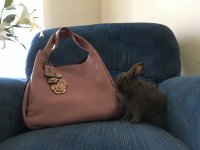 Easter2019_010.jpg