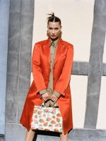 Bella Hadid Gucci Zumi Strawberry print.JPG