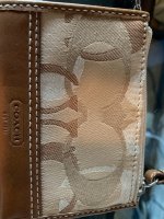 IMG_0151.jpeg