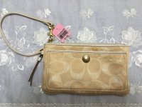 HamptonsScribbleWeekendWristlet7766_Before_002.jpg