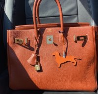 IMG_7314.jpeg