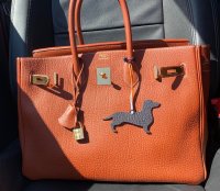 IMG_7315.jpeg