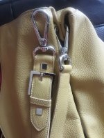 20190509_091242.jpg