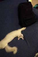 IMG_20190510_2138129.jpg