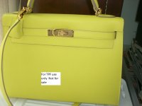 Lime kelly picture for tpf use only 5-11-18.jpg