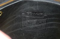 IMG_9556.JPG