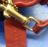 Strap - Another perspective.jpeg