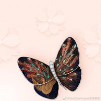 Butterfly 2.jpeg