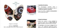 Butterfly Clip 9.jpg