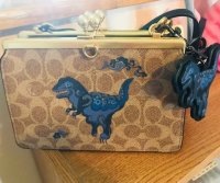 rexy bag.jpg