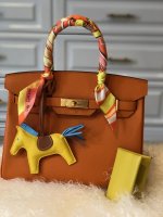 Birkin 30 & card holder.jpg