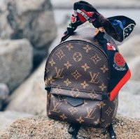 LV Mini Palm Springs Backpack, Page 181