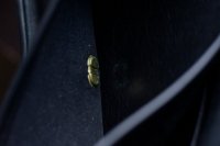DSC_4951.jpg