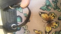 20190602_130436.jpg