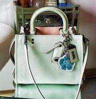 Coach 1941 Rogue 25 Pale Green Leather.jpg