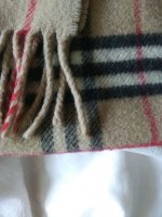 20190608_095043.jpg