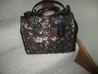 Sequin coach 001.JPG