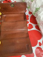 IMG_2204.jpeg