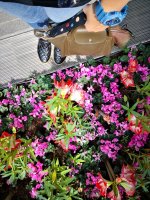IMG_20190621_171726.jpg