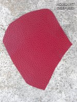 rsz_1africa_rt_-_deep_red.jpg