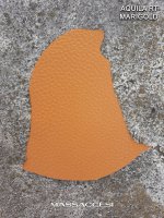 rsz_africa_rt_-_marigold.jpg