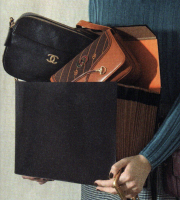 bag of dreams.png