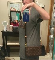 $30 Mini Pochette Dupe + Mod Shots & Comparison