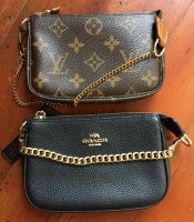 coach Nolita 15 vs Louis Vuitton Mini Pochette#coach #coachoutlet #c, Mini  Pochette Louis Vuitton