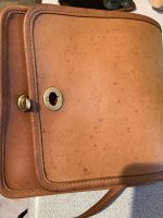 IMG_2229.jpeg