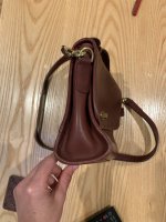 IMG_2231.jpeg