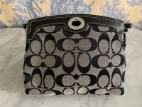 Wristlet 2.jpeg