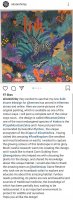 Screenshot_20190702-120149_Instagram.jpg