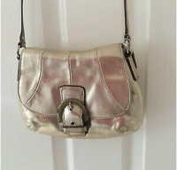 coacg gold bag1.PNG