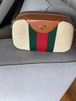 my little gucci.jpg