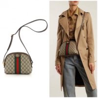 I want a Gucci Ophidia bag. Help me choose pls