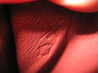 IMG_2588.JPG